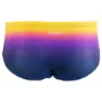 HUUB Training Badeshorts Boxer male, Multi