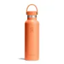 Nectar orange / straw cap