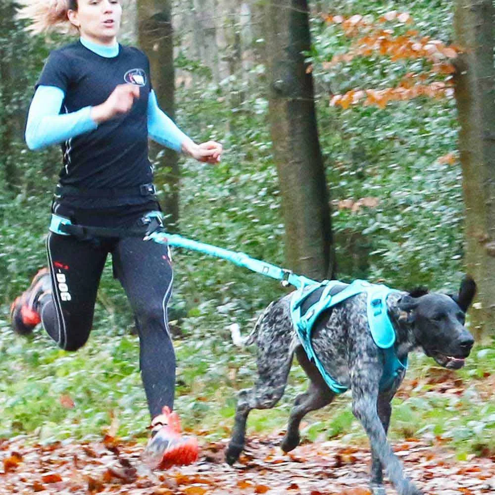 I-dog Canicross Canyon Alm Hundesele, Blue, One Size