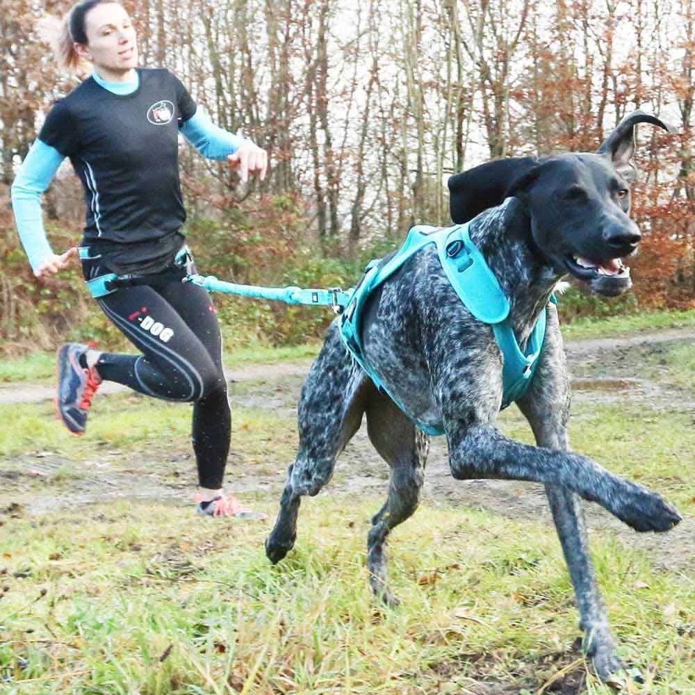 I-dog Canicross Canyon Alm Hundesele, Blue, One Size