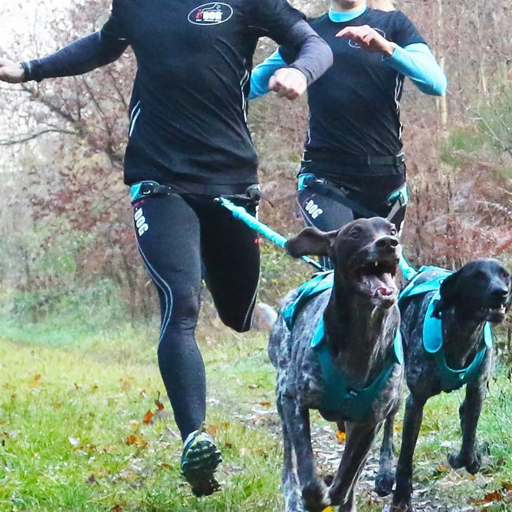 I-dog Canicross Canyon Alm Hundesele, Blue, One Size