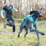 I-dog Canicross Canyon Alm Hundesele, Blue, One Size