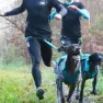 I-dog Canicross Canyon Alm Hundesele, Blue, One Size