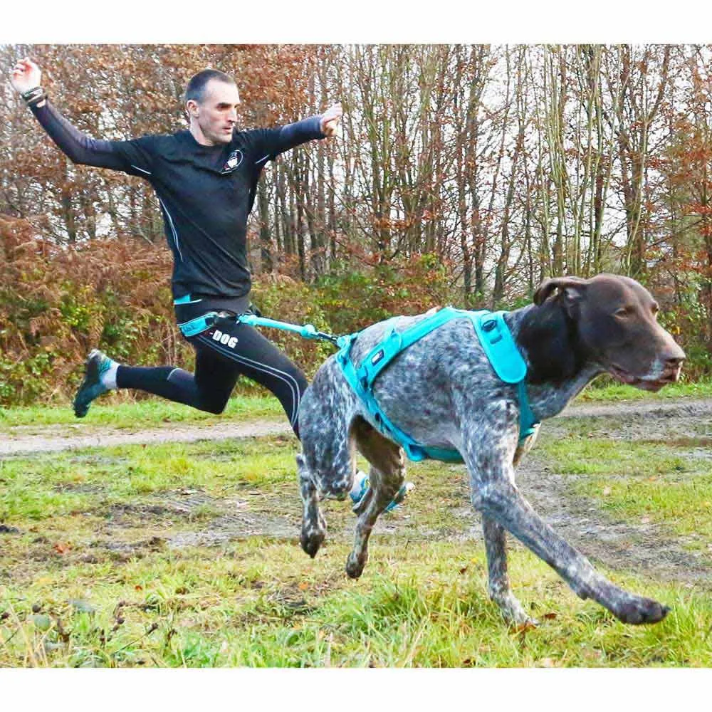 I-dog Canicross Opale Small Dog Hundebånd, Blue, 190cm