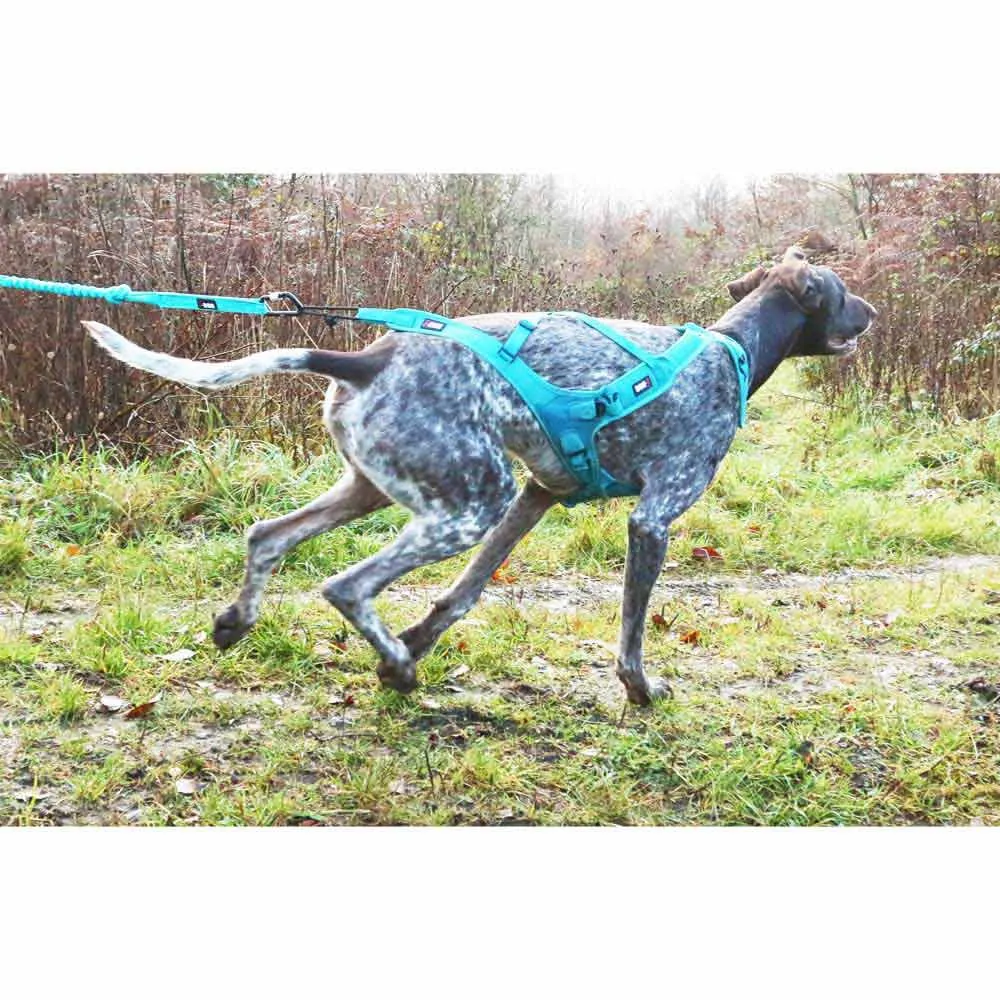 I-dog Canicross Opale Small Dog Hundebånd, Blue, 190cm