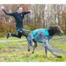 I-dog Canicross Opale Small Dog Hundebånd, Blue, 190cm