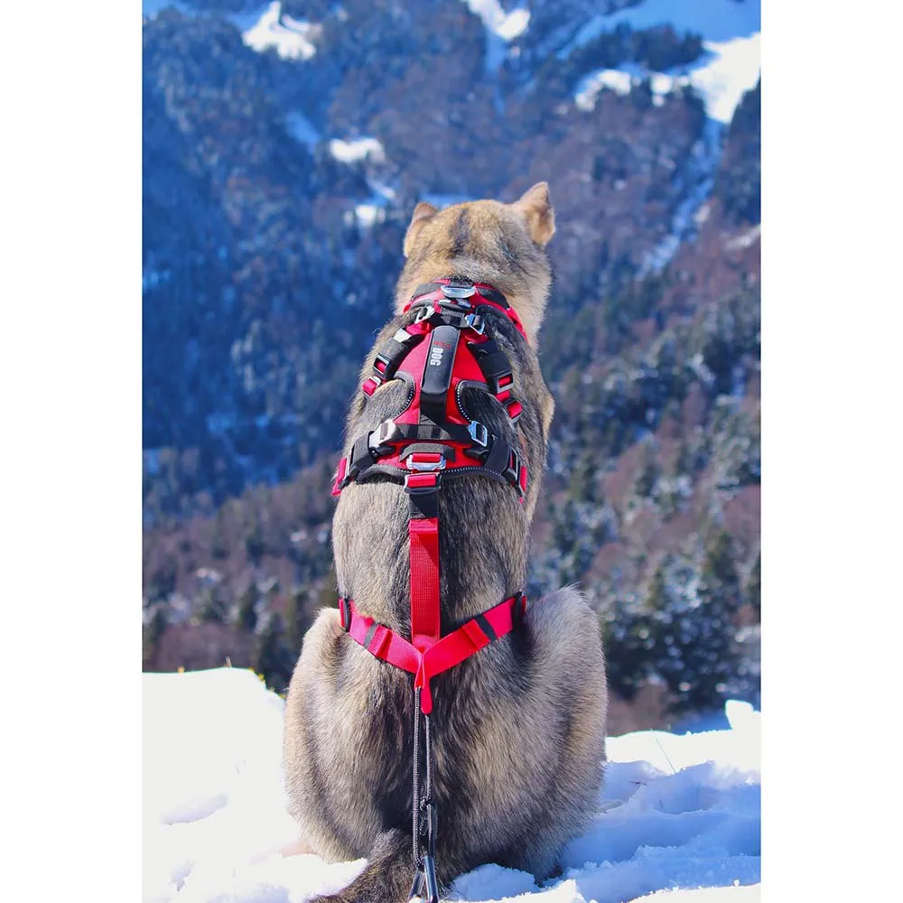 I-dog Confort Trek Hundesele