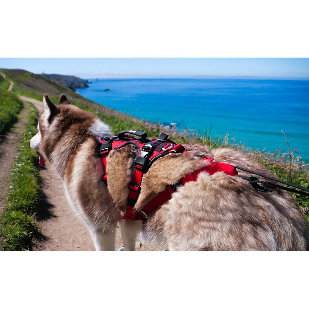 I-dog Confort Trek Hundesele