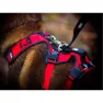 I-dog Confort Trek Hundesele
