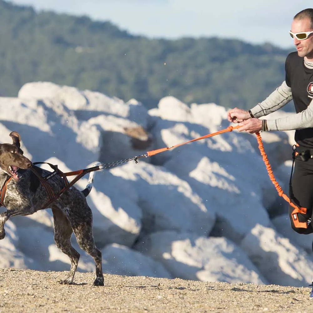 I-dog Harnais Canicross Hundesele