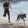 I-dog Harnais Canicross Hundesele