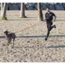 I-dog Harnais Canicross Hundesele