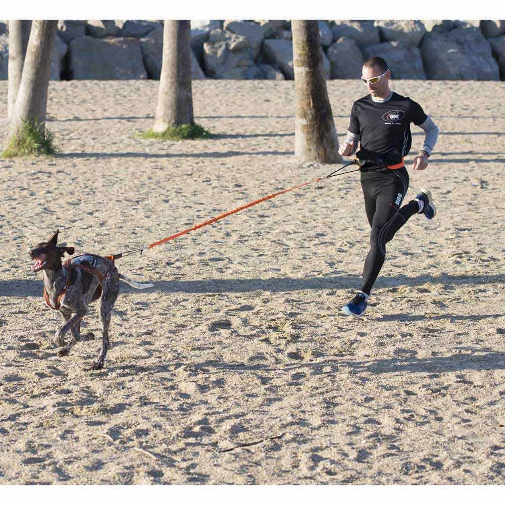 I-dog Harnais Canicross Hundesele Refurbished, Orange, S
