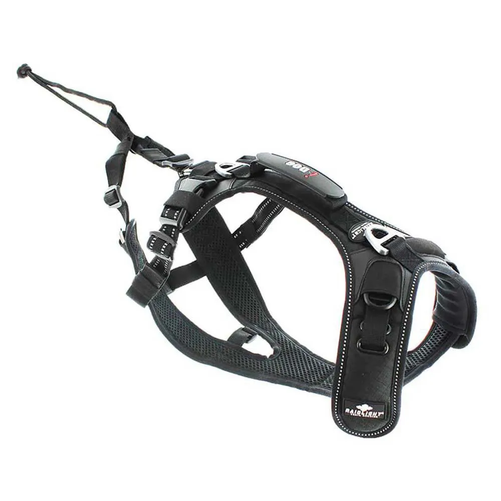 I-dog Raidlight Hundesele I-dog Raidlight Hundesele