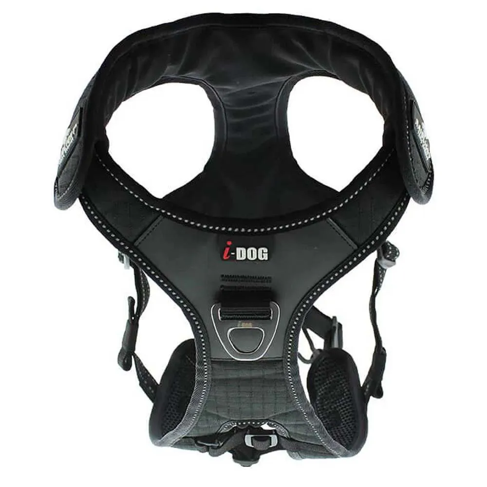 I-dog Raidlight Hundesele I-dog Raidlight Hundesele