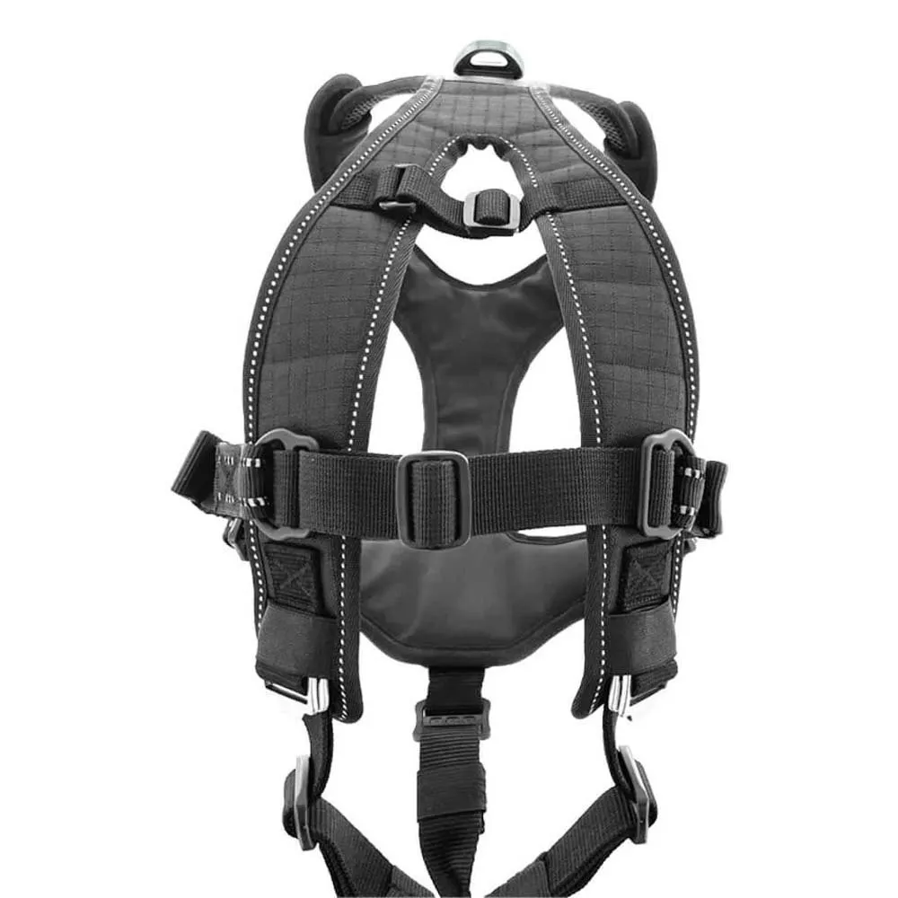 I-dog Raidlight Hundesele I-dog Raidlight Hundesele