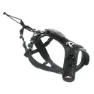 I-dog Raidlight Hundesele