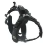 I-dog Raidlight Hundesele
