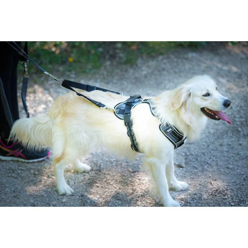 I-dog Style Hundesele