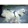 I-dog Style Hundesele