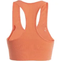Icebreaker 260 ZoneKnit Seamless Bra W