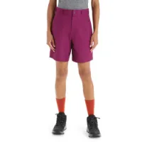 Icebreaker Hike Shorts