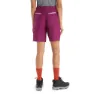 Icebreaker Hike Shorts