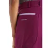 Icebreaker Hike Shorts