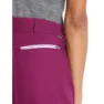 Icebreaker Hike Shorts