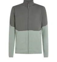 Icebreaker Men's Merino 400 Realfleece Descender Longsleeve Zip