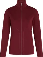 Icebreaker Men's Merino 560 Realfleece Elemental II Longsleeve Zip