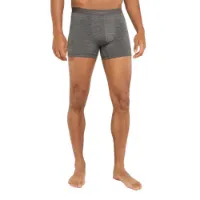 Icebreaker Merino 125 Cool-lite Anatomica Boxers Icebreaker Merino 125 Cool-lite Anatomica Boxers