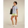Icebreaker Merino 125 Cool Lite Drayden Reversible Stripe Kortarmet T-skjorte