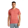 Icebreaker Merino 125 Cool Lite Drayden Stripe Kortarmet T-skjorte