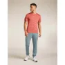 Icebreaker Merino 125 Cool Lite Drayden Stripe Kortarmet T-skjorte