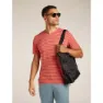 Icebreaker Merino 125 Cool Lite Drayden Stripe Kortarmet T-skjorte