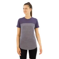 Icebreaker Merino 125 Cool-lite Sphere Iii Colour Block Kortarmet T-skjorte