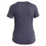 Icebreaker Merino 125 Cool-lite Sphere Iii Peak Quest Kortarmet T-skjorte