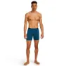 Icebreaker Merino 150 Anatomica Long Boxers