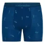 Icebreaker Merino 150 Anatomica Snow Day Boxers
