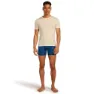 Icebreaker Merino 150 Anatomica Snow Day Boxers