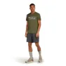 Icebreaker Merino 150 Tech Lite Highland Kortarmet T-skjorte