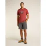 Icebreaker Merino 150 Tech Lite Hike Together Kortarmet T-skjorte
