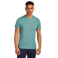 Icebreaker Merino 150 Tech Lite Ib Wordmark Kortarmet T-skjorte