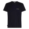 Icebreaker Merino 150 Tech Lite Ib Wordmark Kortarmet T-skjorte