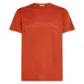Icebreaker Merino 150 Tech Lite Mountain Pulse Kortarmet T-skjorte