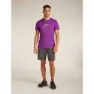 Icebreaker Merino 150 Tech Lite Rising Light Kortarmet T-skjorte
