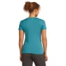 Icebreaker Merino 150 Tech Lite Snow Day Kortarmet T-skjorte