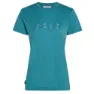 Icebreaker Merino 150 Tech Lite Snow Day Kortarmet T-skjorte