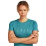 Icebreaker Merino 150 Tech Lite Snow Day Kortarmet T-skjorte